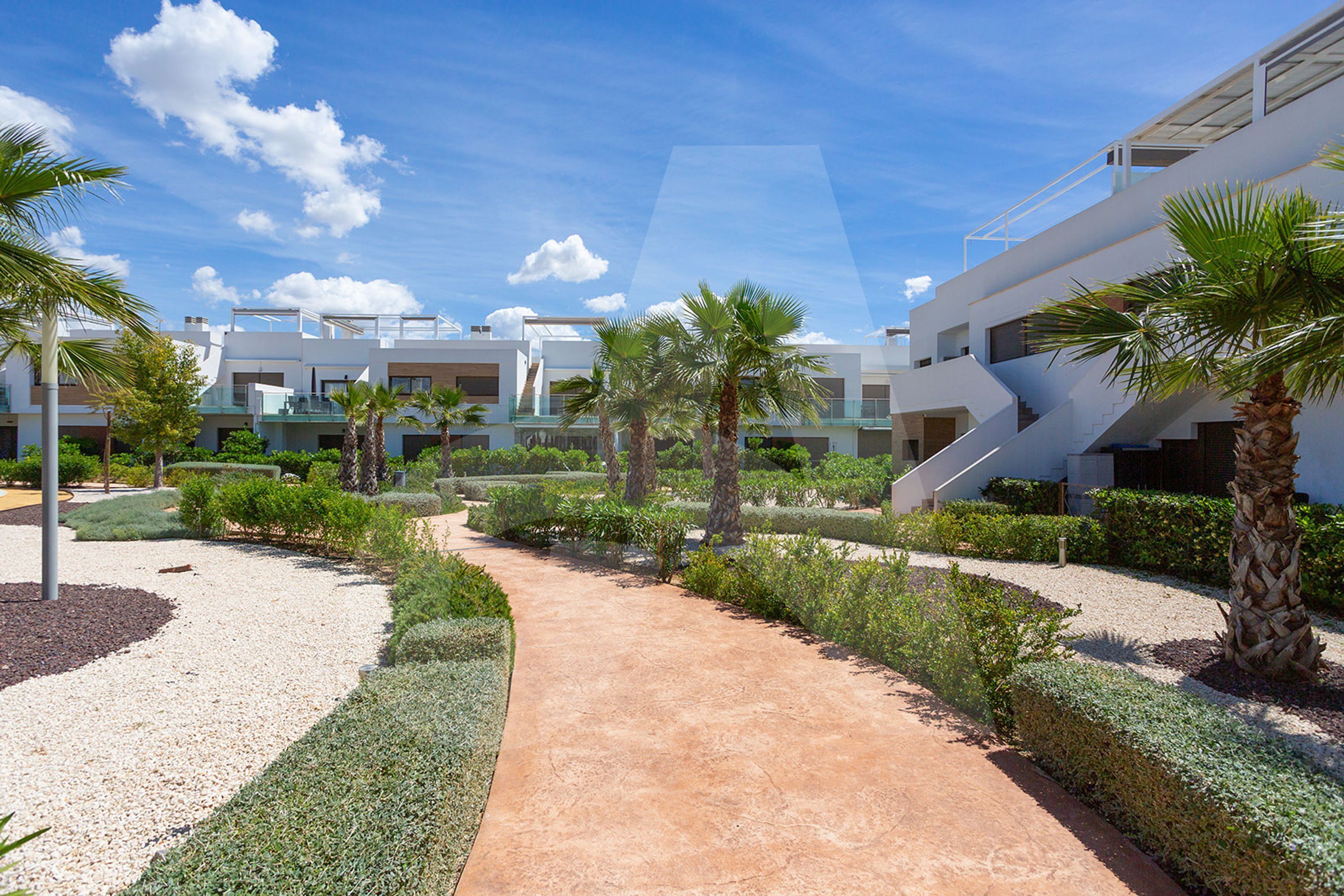 A modern building complex with a central pathway surrounded by landscaped areas and palm trees.