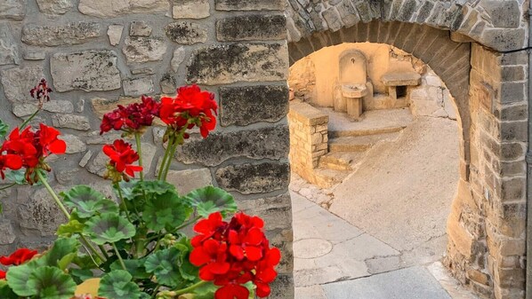 Jardines del alojamiento