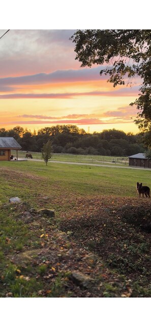 Jardines del alojamiento