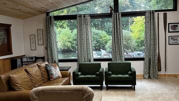 Smart-TV, Kamin