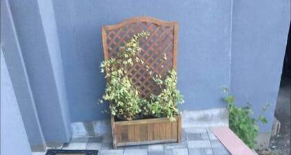 House with 45m2 terrace - close to business