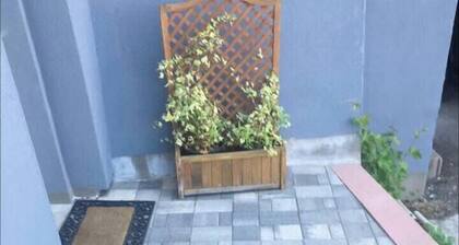 Maison avec terrasse 45m2 - proche activité