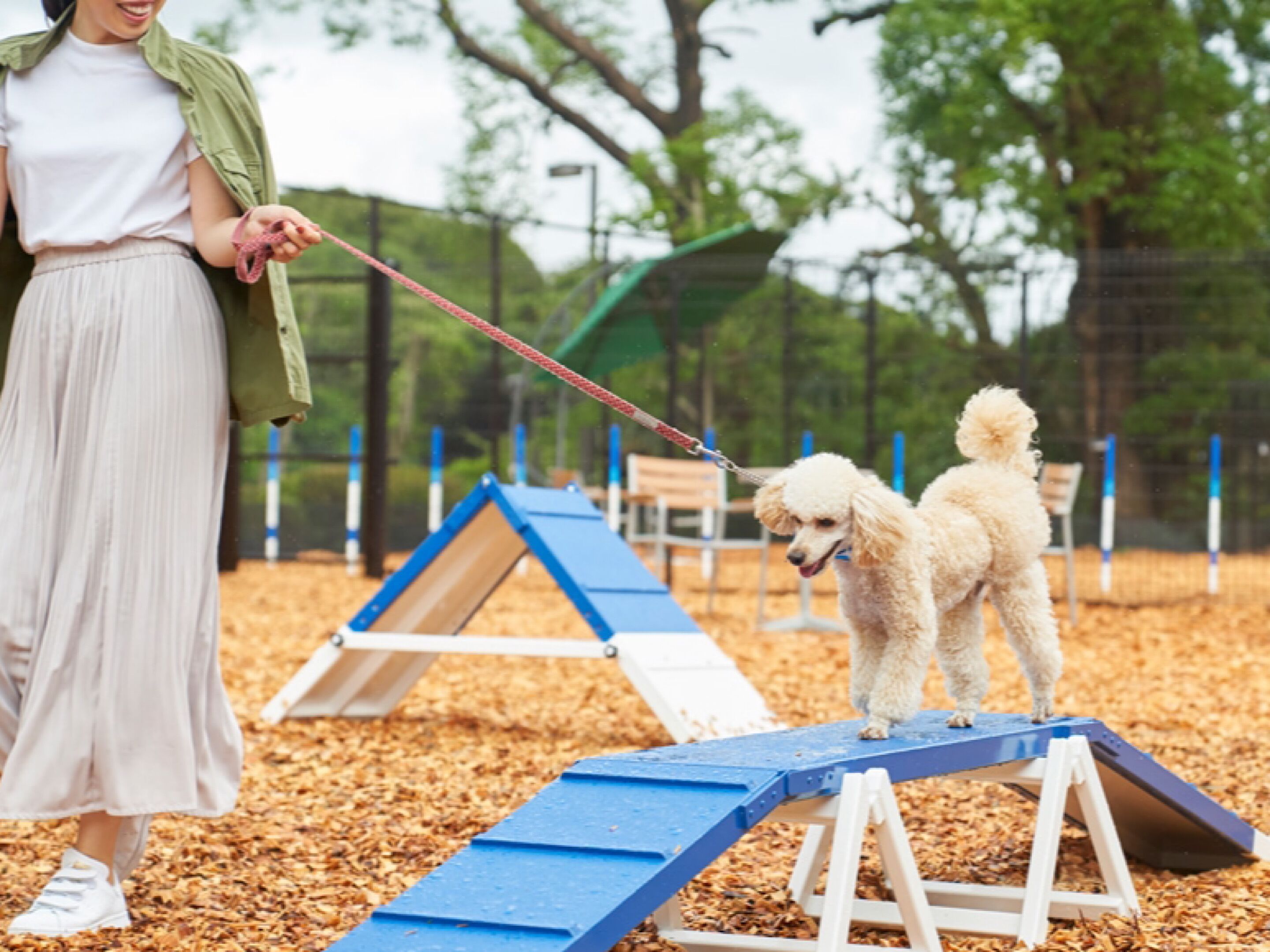 A person with a dog on a wooden ramp in a park.
