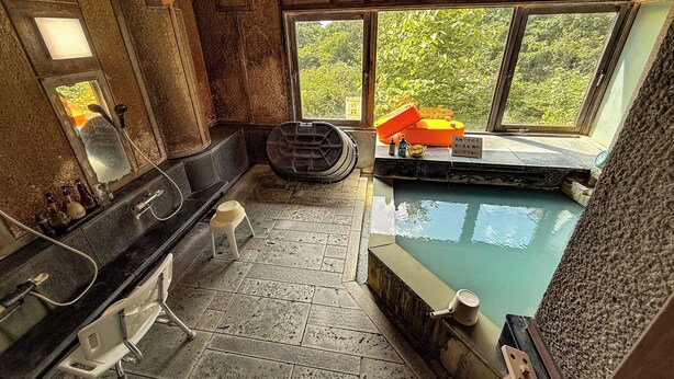 Une salle de bain avec une baignoire, un lavabo et une fenêtre donnant sur un espace verdoyant.