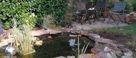 Àrea exterior de l'allotjament