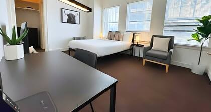 Chic Studio near Downtown Chicago | Gold Coast