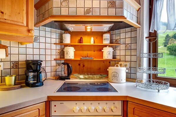 Fridge, oven, stovetop, dishwasher