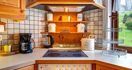 Ferienwohnung 'Im Wiedener Hof' mit Bergblick, Balkon und WLAN