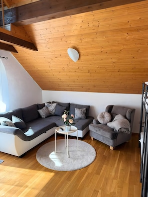 Fernseher