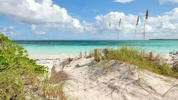A beach with clear turquoise water, white sand, and tall grasses.