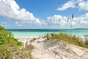 A beach with clear turquoise water, white sand, and tall grasses.