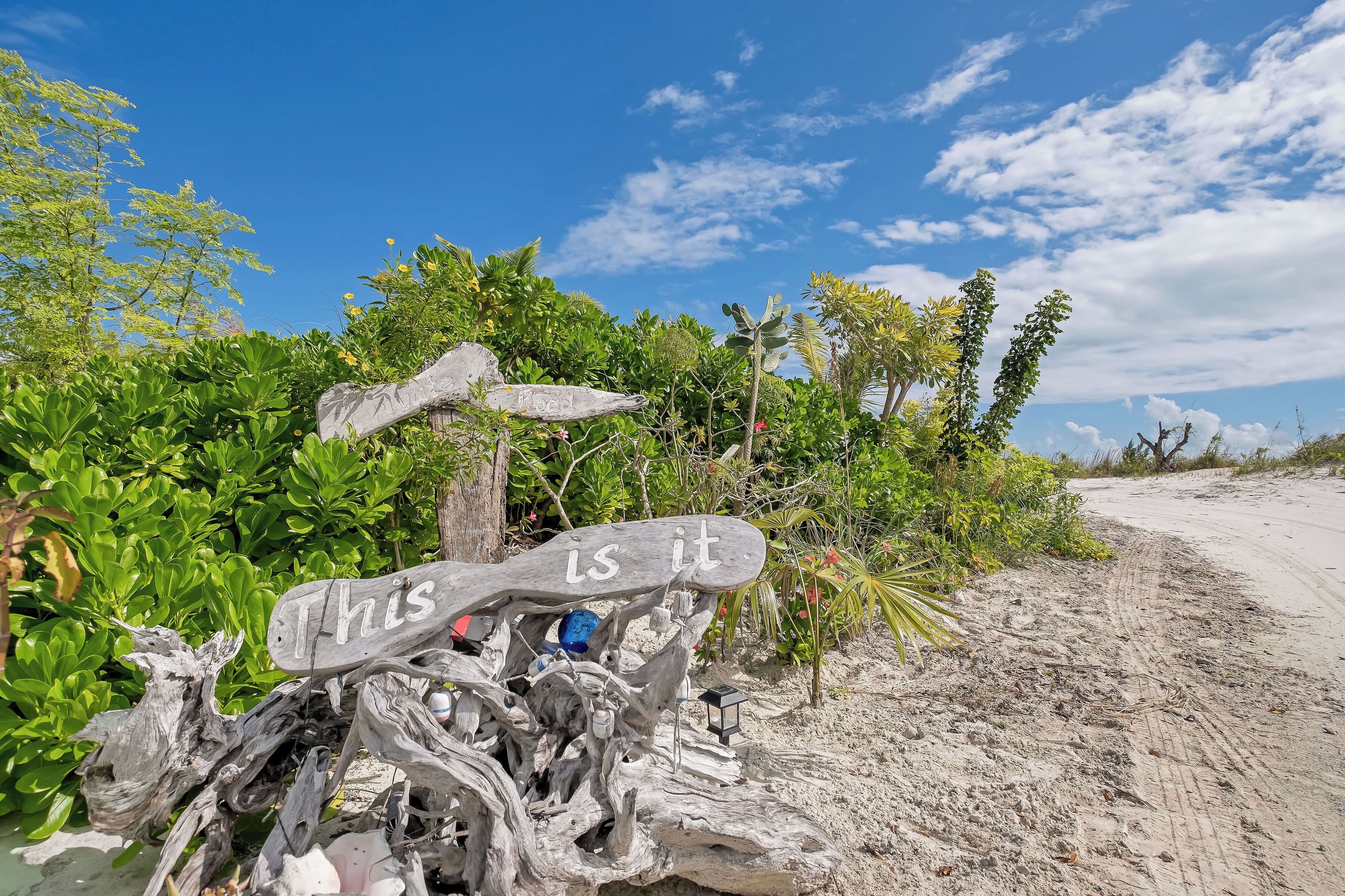 A rustic wooden sign with the text "This is it" amidst a natural setting with greenery and a sandy path.