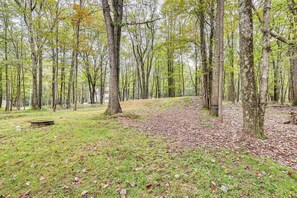 A forested area with a dirt path and a bench.