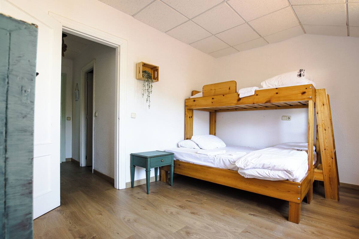 A bunk bed with a wooden frame, a small bedside table, and a hanging plant.