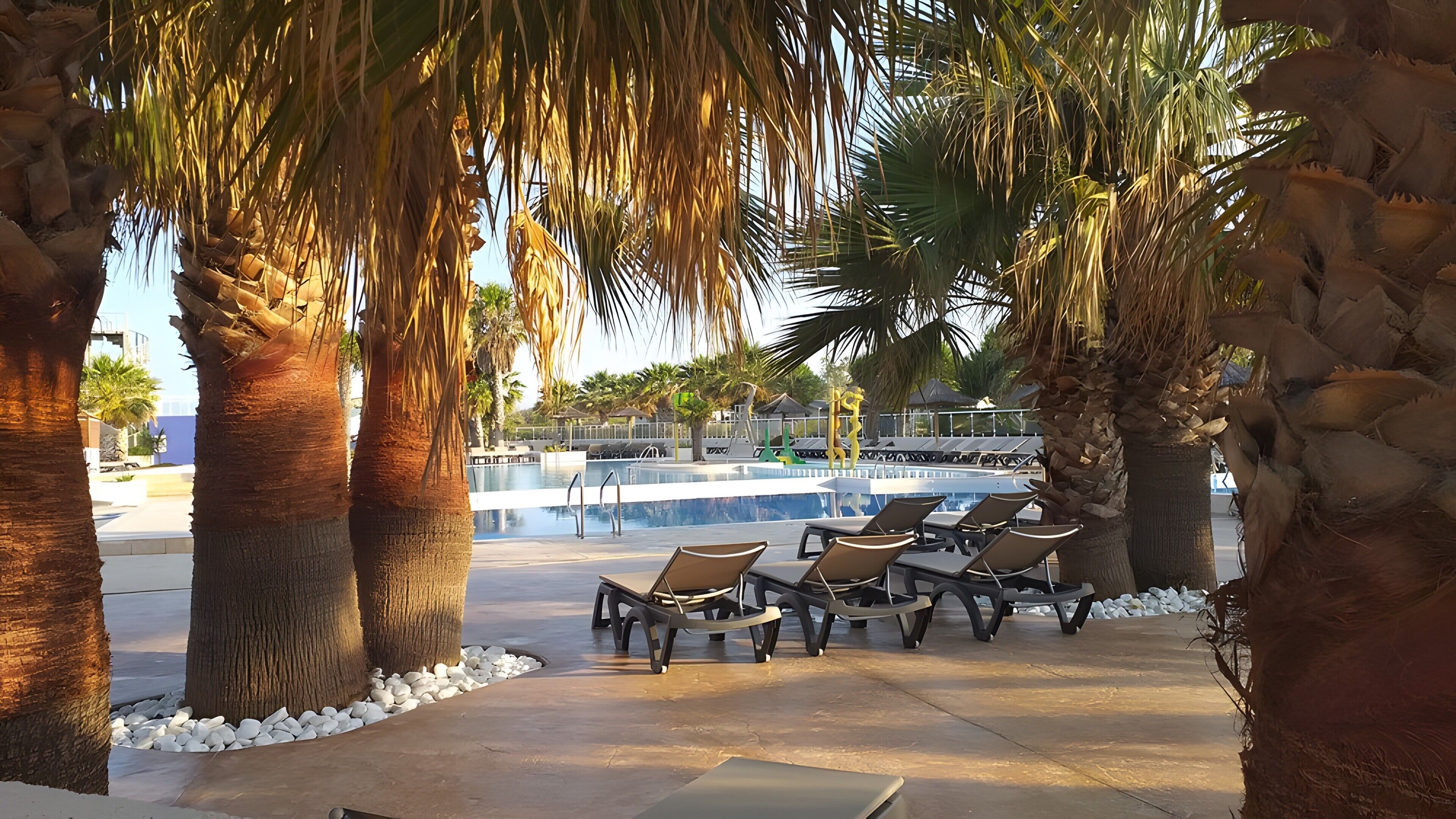 Un área junto a la piscina con sillones de descanso, palmeras y una alberca.