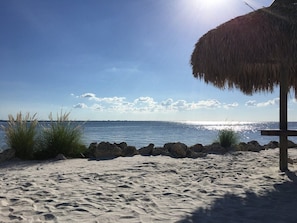 Apartamento | 1 quarto