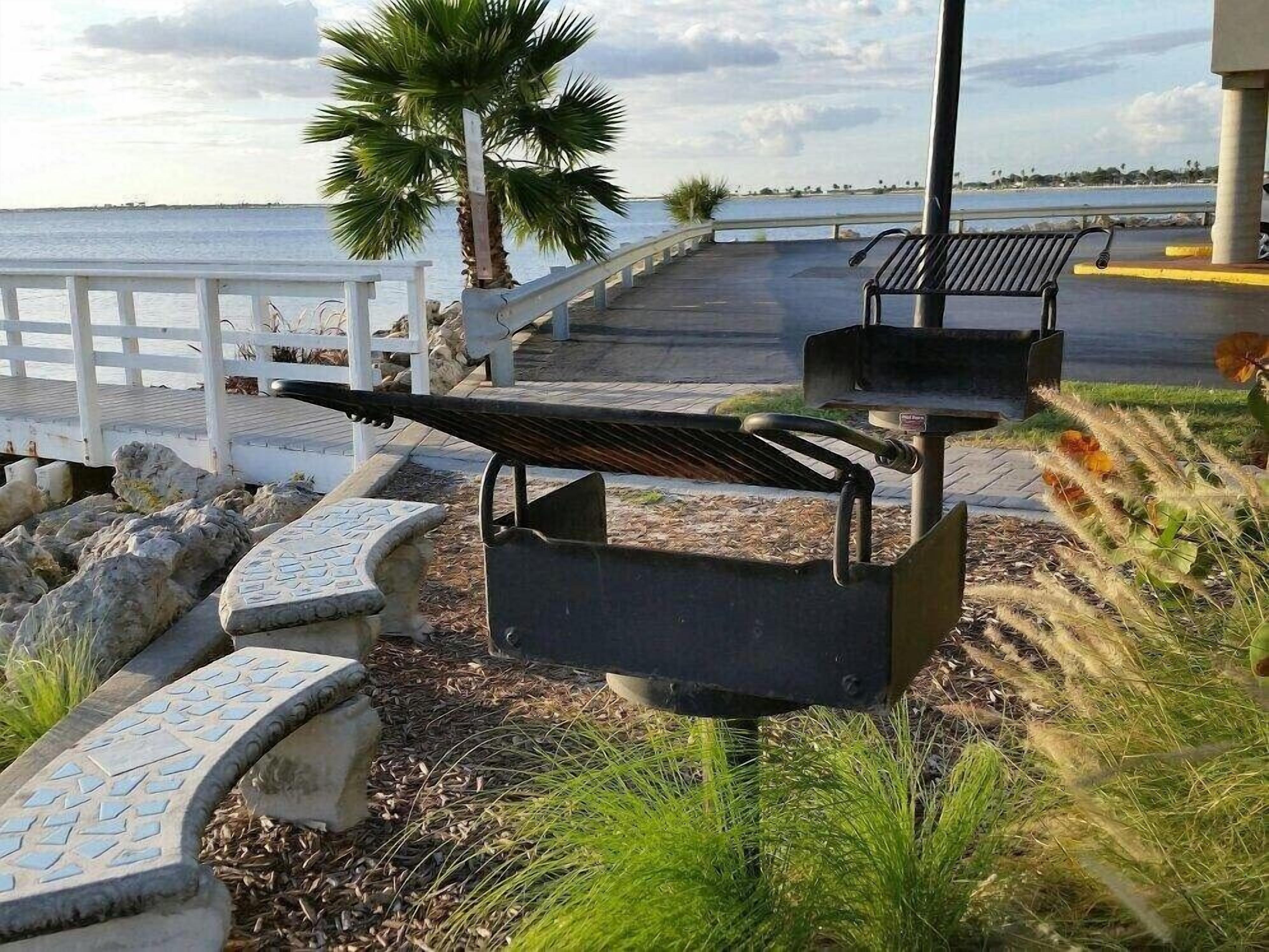 En strandpromenad med bänkar, en palm och utsikt över vattnet.
