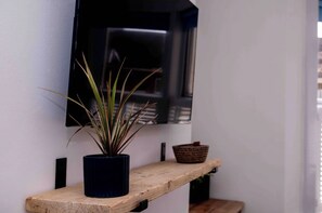 Televisión
