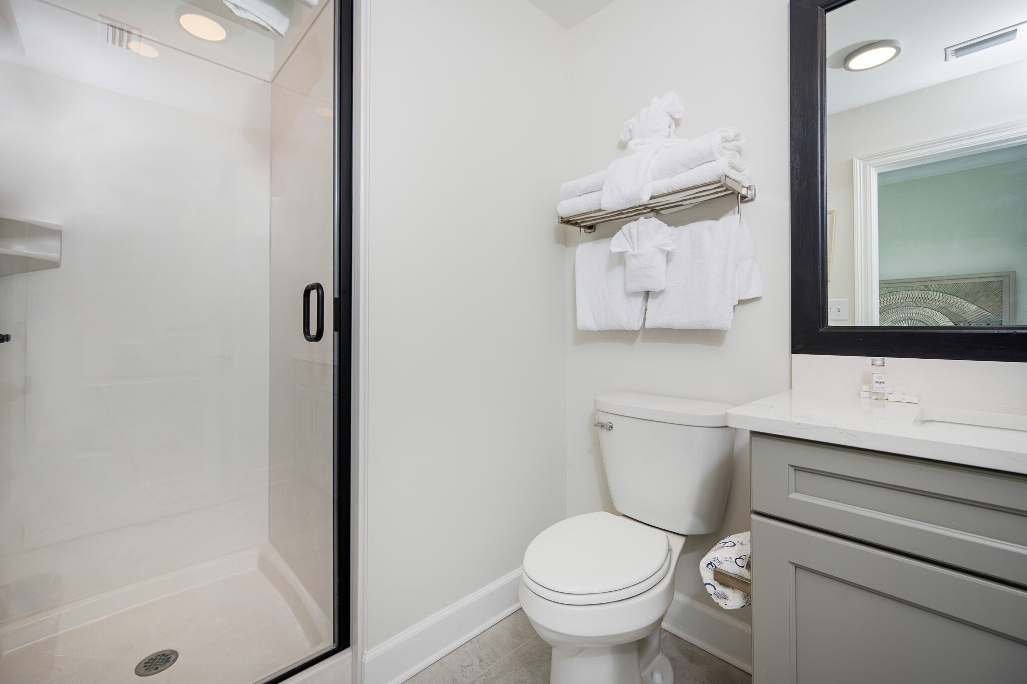 A modern bathroom with a glass shower enclosure, a white toilet, and a vanity with a mirror.