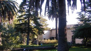 A garden with palm trees, a building with a tiled roof, and a stone wall.