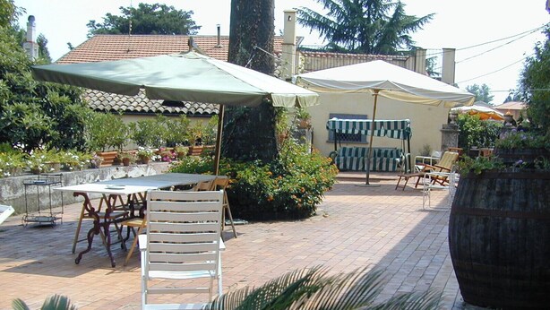 An outdoor patio with a table and chairs, surrounded by potted plants and umbrellas.