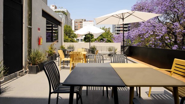 1 bedroom - w Spectacular 1BR in Polanco (Mexico City)