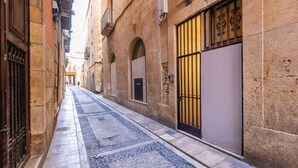 A narrow street with cobblestone pavement, stone buildings, and metal gates.