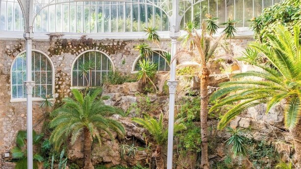Uma estufa com paredes de pedra, janelas em arco e plantas tropicais.
