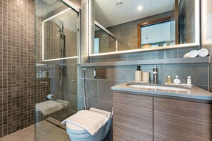 Shower, hair dryer, bidet, towels
