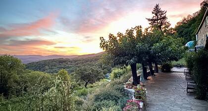 Bella Dome - Cosy dome with panoramic mountain views, surrounded by beautiful nature