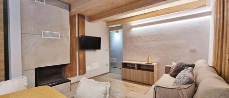 Télévision, cheminée, espaces bureaux