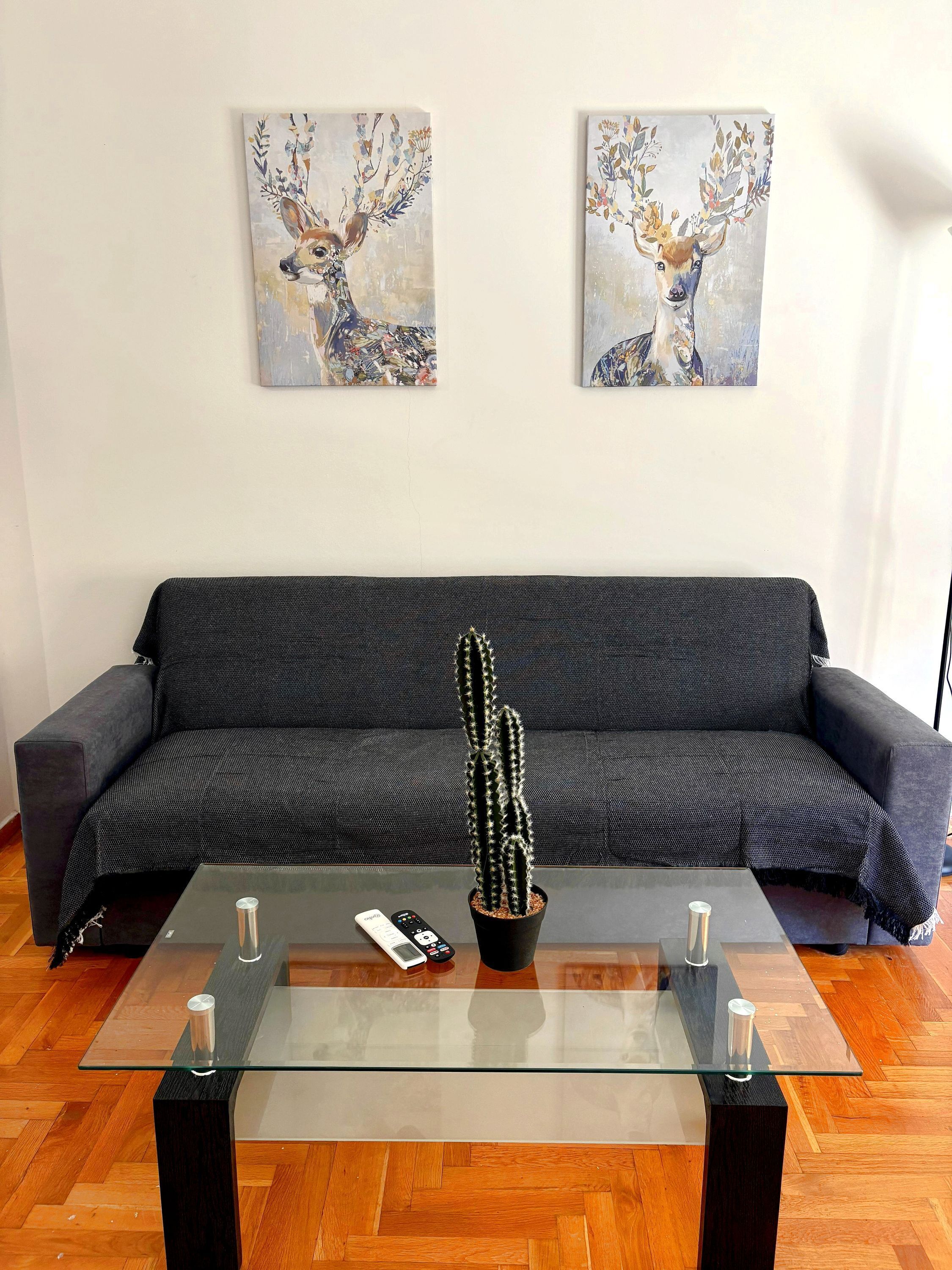 A modern living room with a dark grey sofa, a glass coffee table with a cactus, and two abstract paintings on the wall.