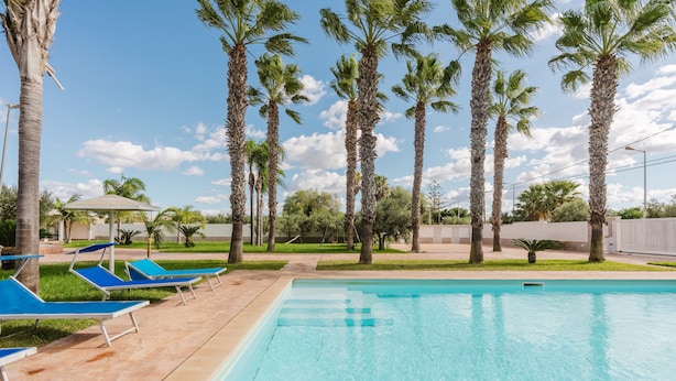 Una piscina con sillas de descanso azules, palmeras y cielo despejado.