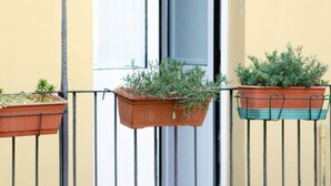 Un balcon agrémenté de deux jardinières suspendues, l’une contenant des plantes vertes et l’autre un mélange de plantes vertes et bleues.