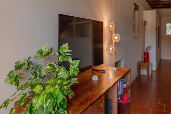 Un bureau en bois, un téléviseur à écran plat, une plante en pot et un miroir avec des lumières.