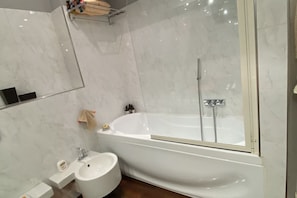 Shower, hair dryer, bidet, towels