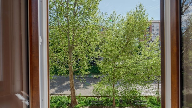Uma janela com vista para uma rua arborizada e um edifício ao fundo.