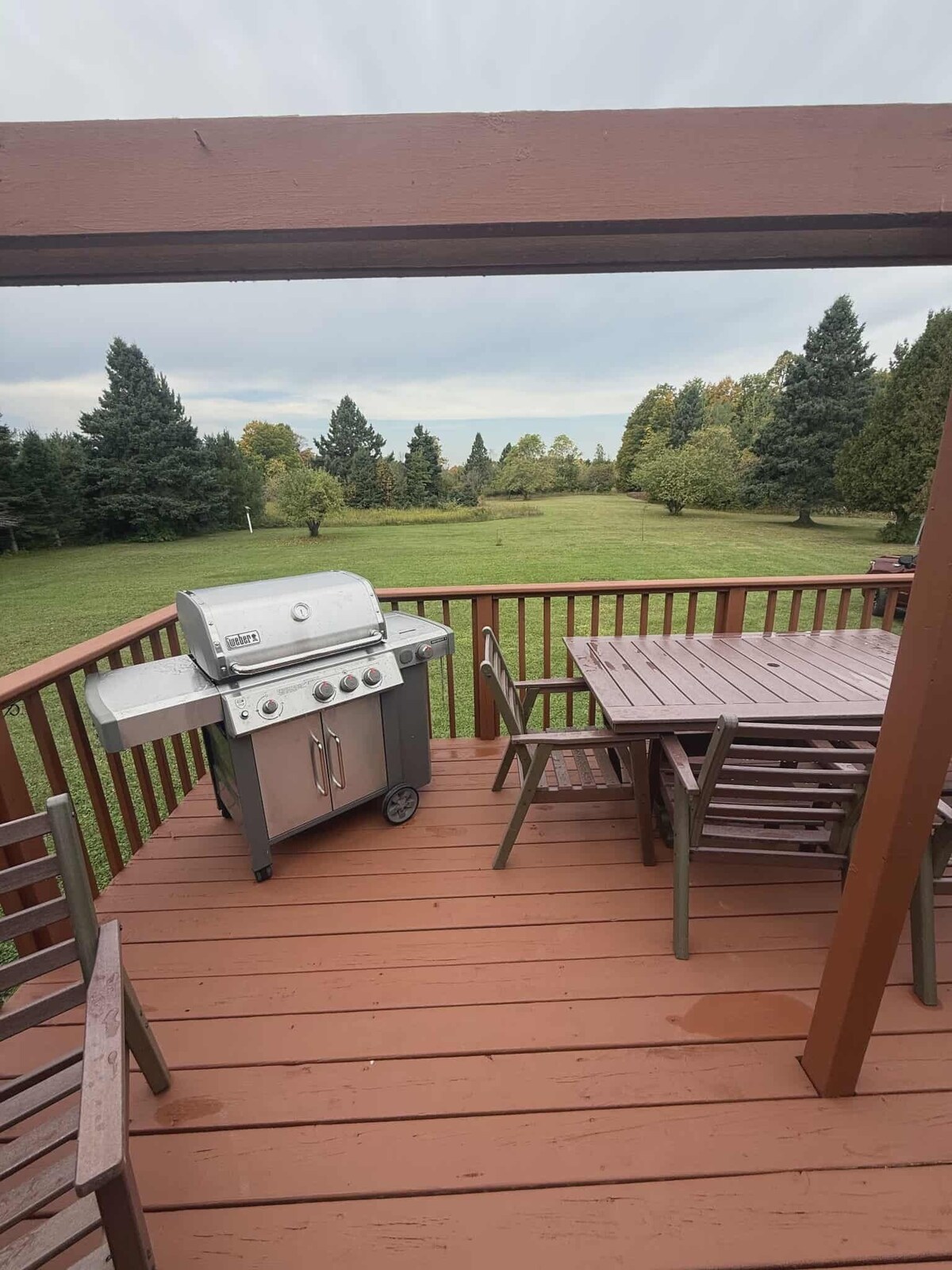 Image de profil de l’hôte