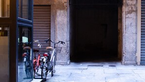 A narrow alley with a closed metal gate and a bicycle parked against a building. - Toffee House by HappyHosTorino (Torino)