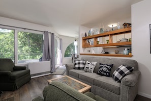 Smart TV, fireplace, books