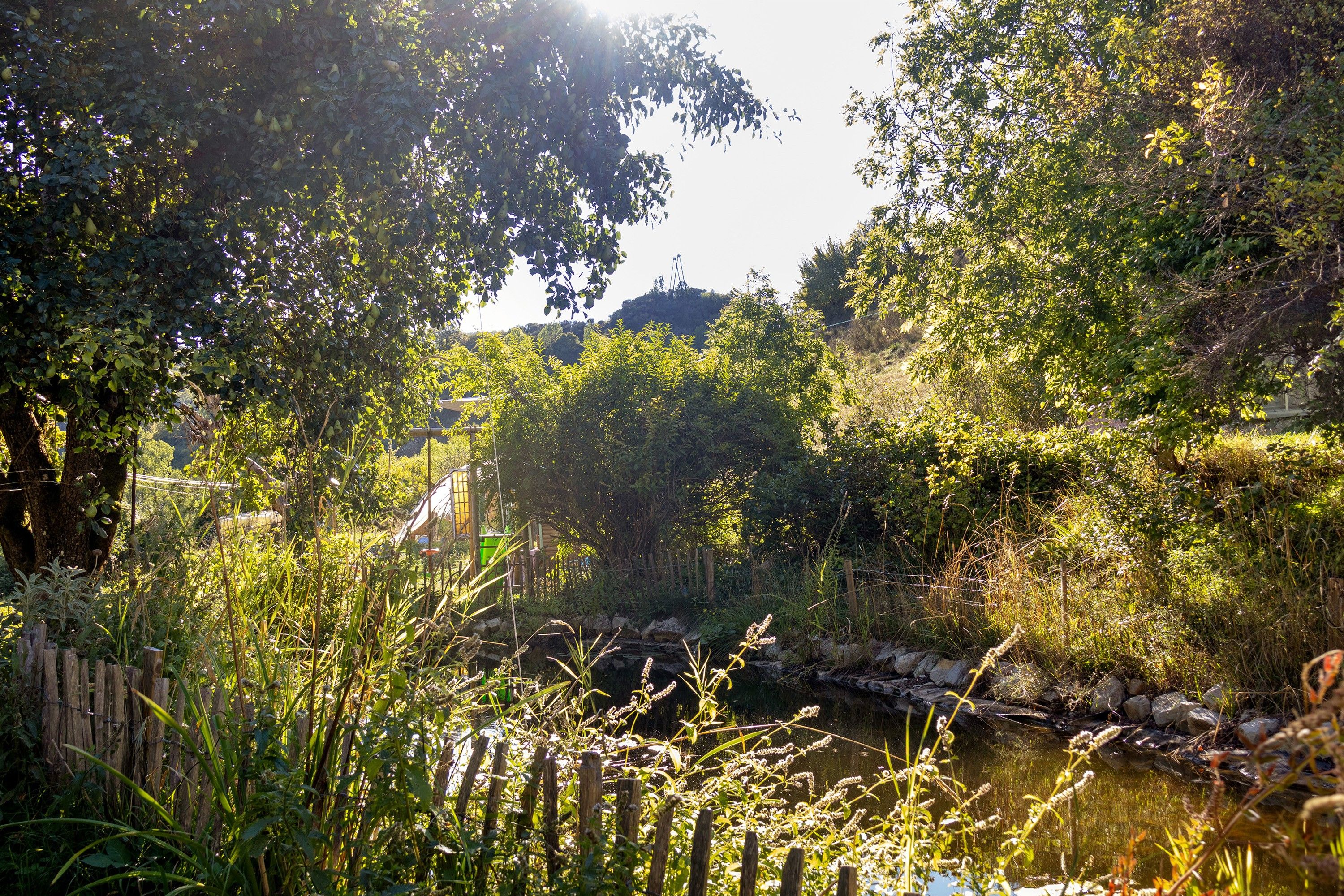 Een natuurlijk landschap met een waterpartij, weelderige begroeiing en een houten omheining.