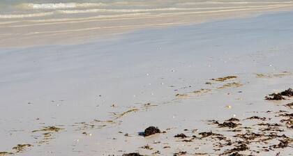 Cozy Beachside Retreat in Diani Kwale County