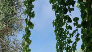 Uklassifisert bilde, 2 av 58, knapp