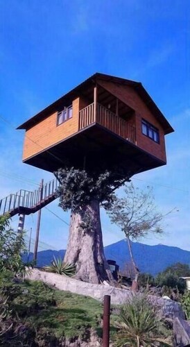Trini Tree House — Nido By GEstores
