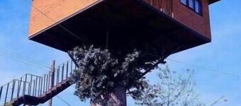 Trini Tree House — Nido By GEstores