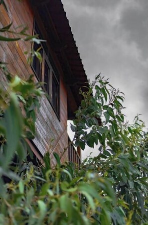 Detalle del exterior