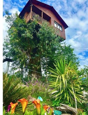 A wooden house with a balcony, surrounded by lush greenery and various plants. - Trini Tree House — Nido By GEstores (Omitlán de Juárez)