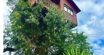 Trini Tree House â Nido By GEstores