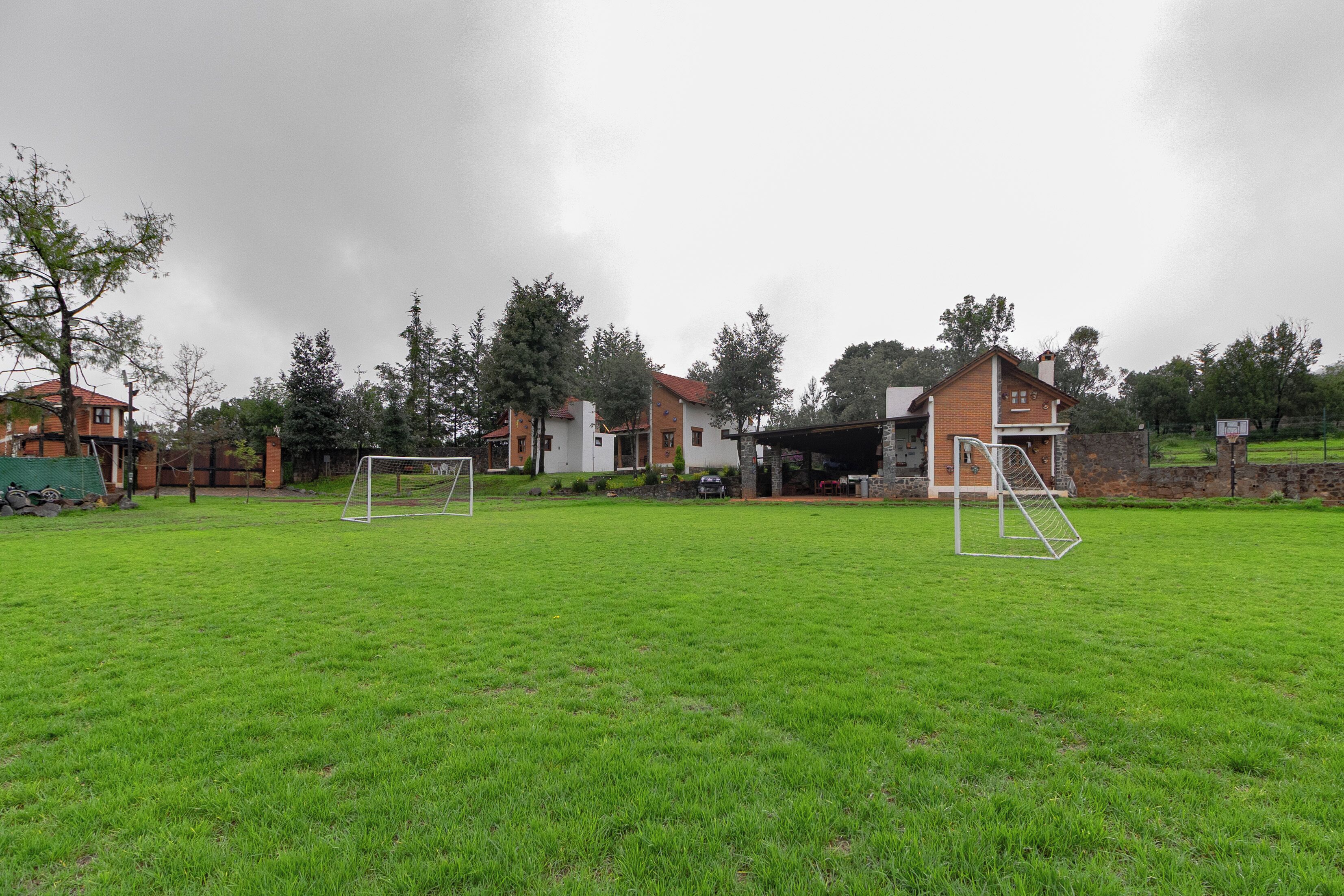 Een grasveld met twee voetbalkoepen, omringd door woonhuizen en bomen.