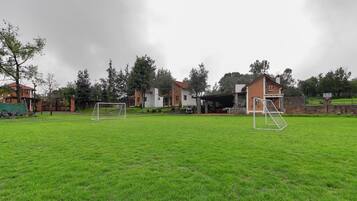 Een grasveld met twee voetbalkoepen, omringd door woonhuizen en bomen.